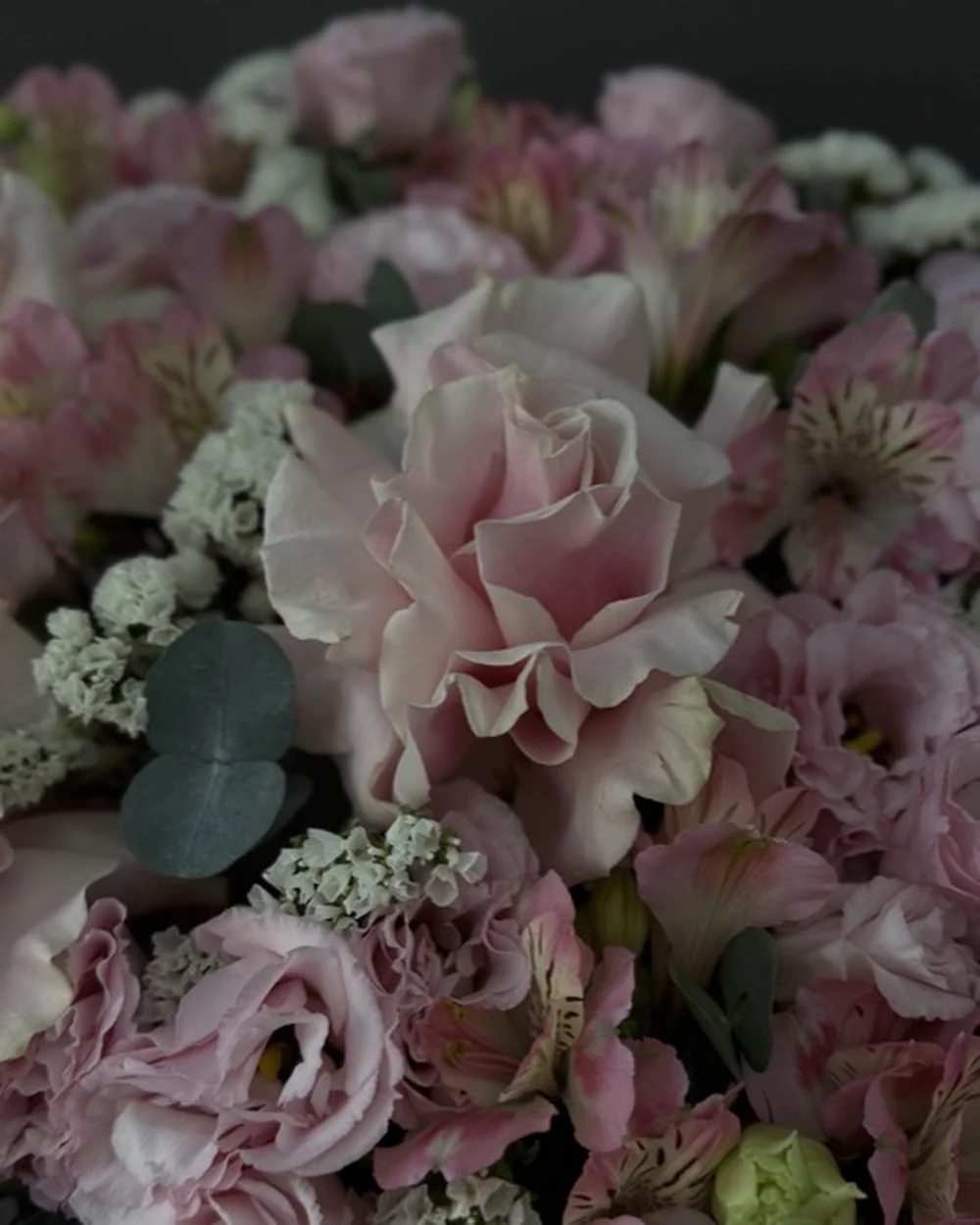 Blush Garden — фото 5